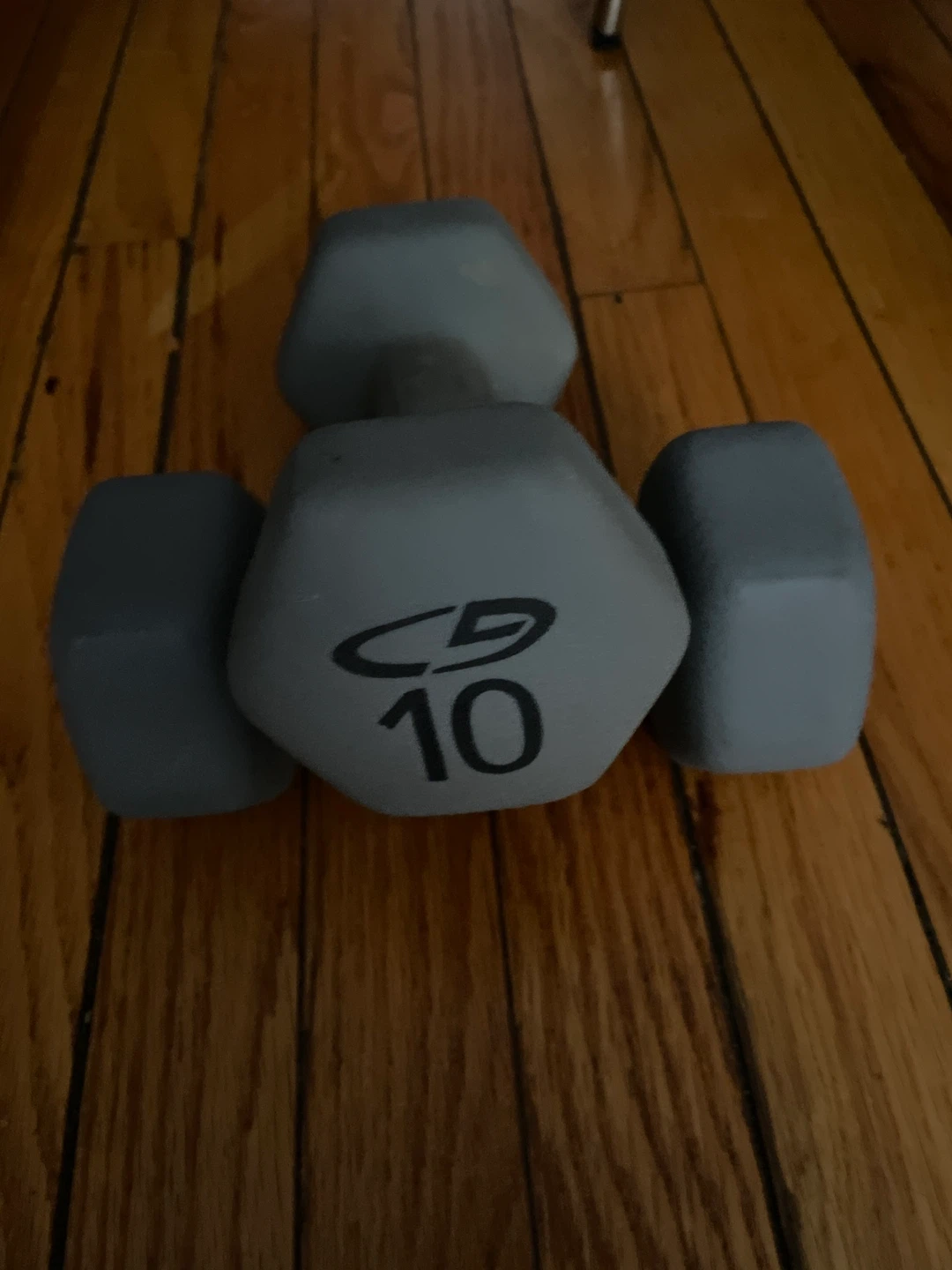 Pair of Champion 10 lb Dumbbells