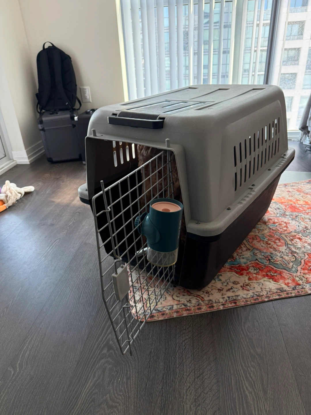 Airline Approved Pet Carrier