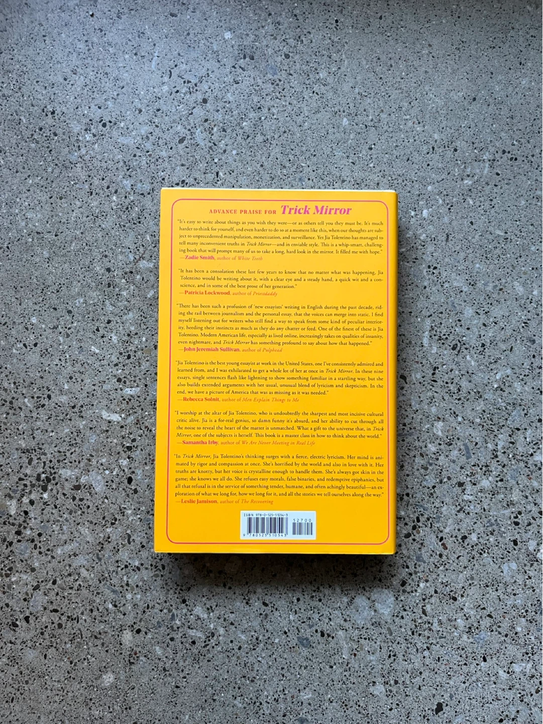 Trick Mirror book - photo 2