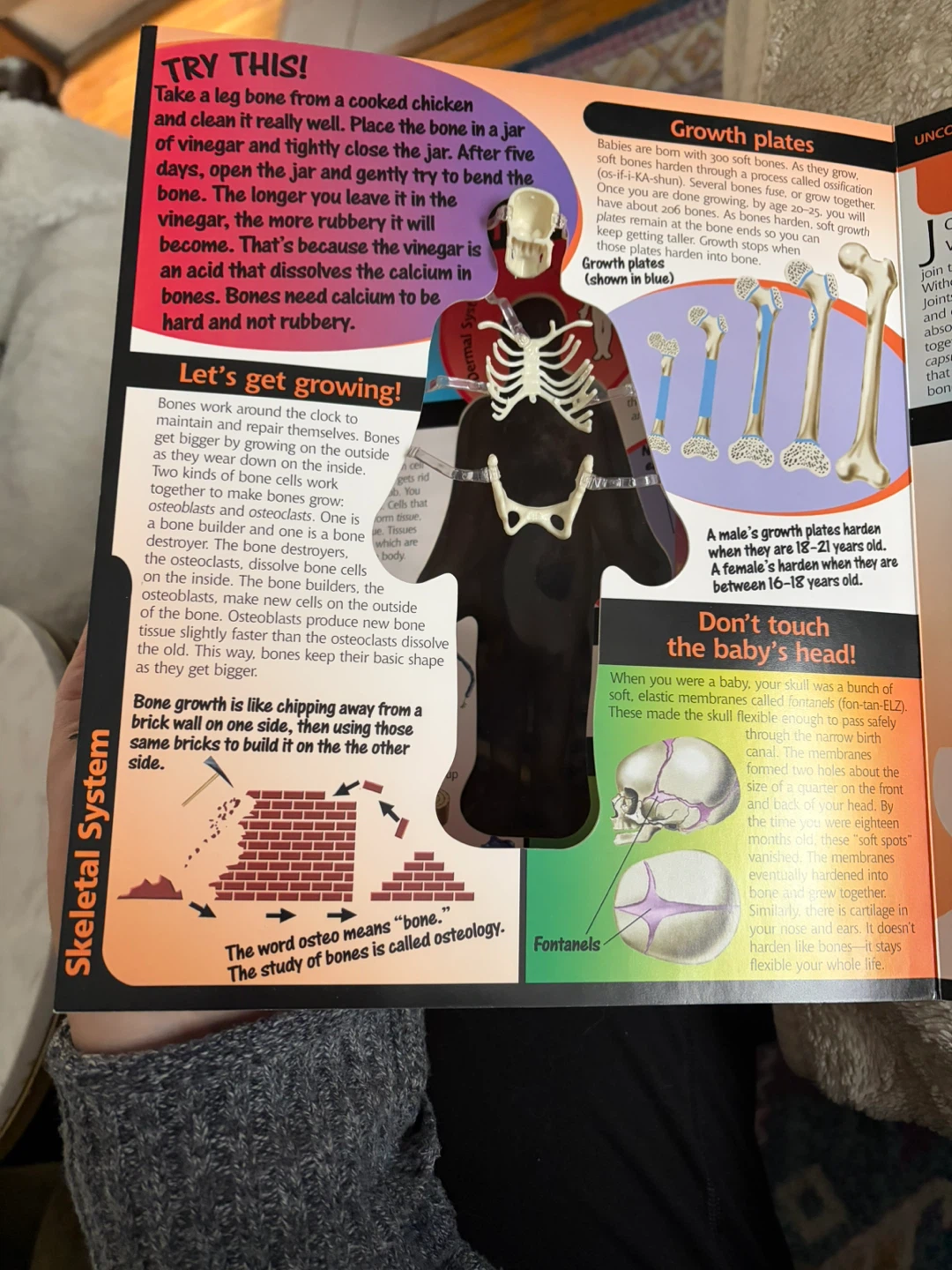 3D HUMAN BODY BOOK - photo 4