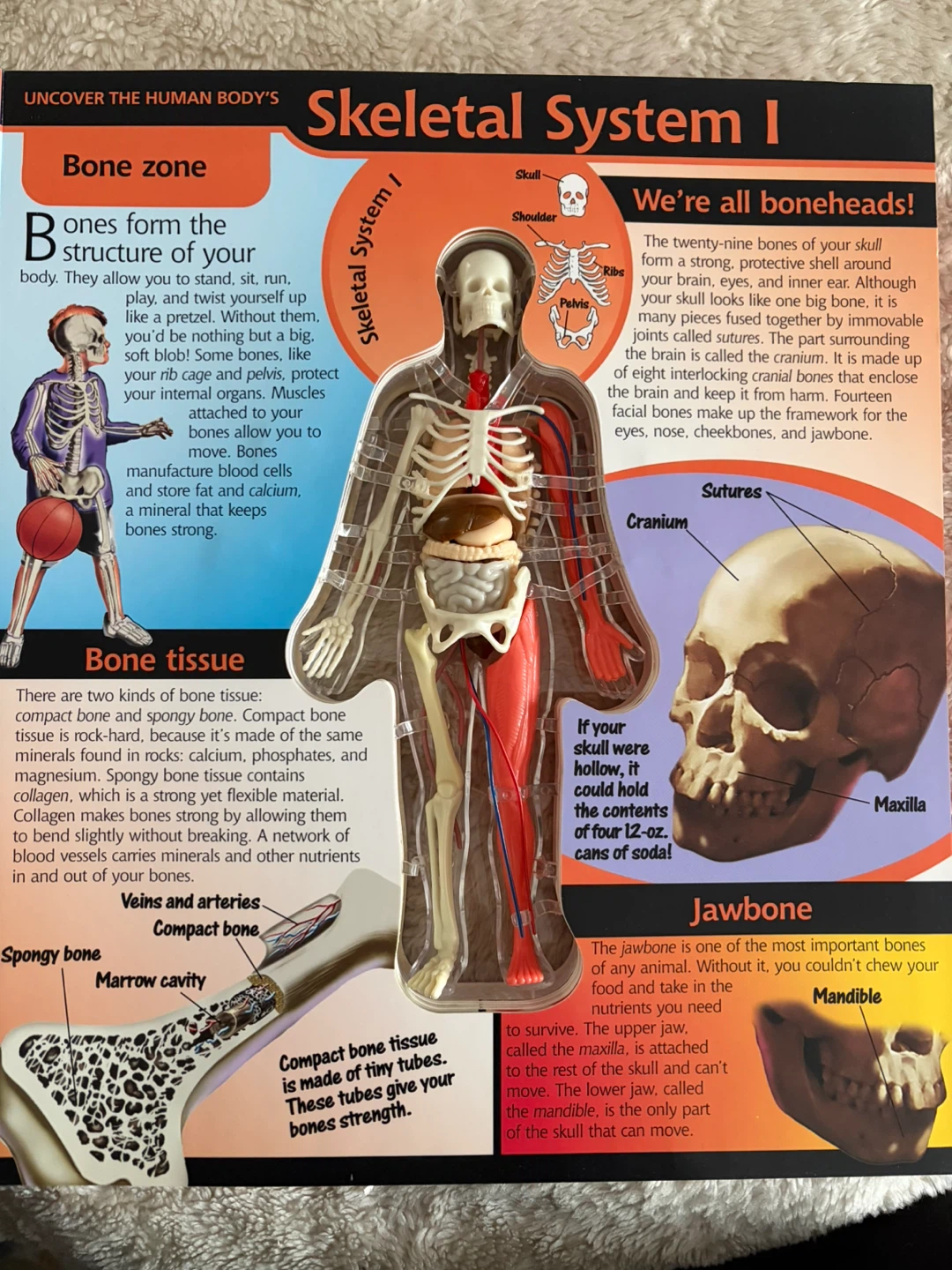 3D HUMAN BODY BOOK - photo 3