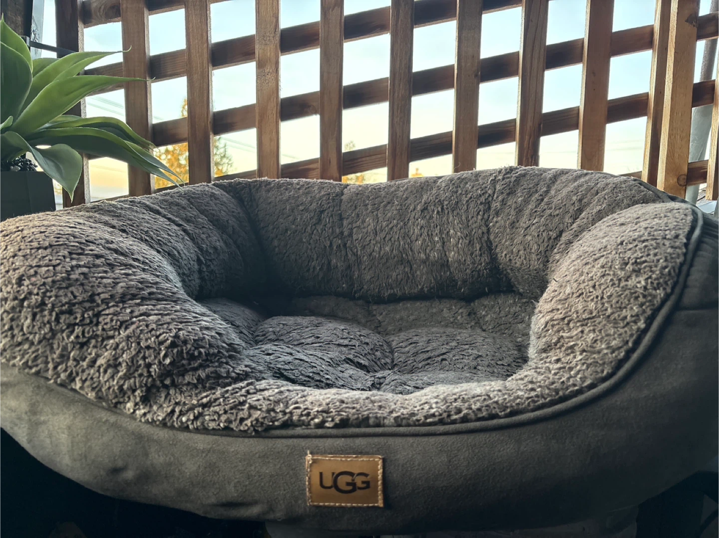 UGG Pet Bed