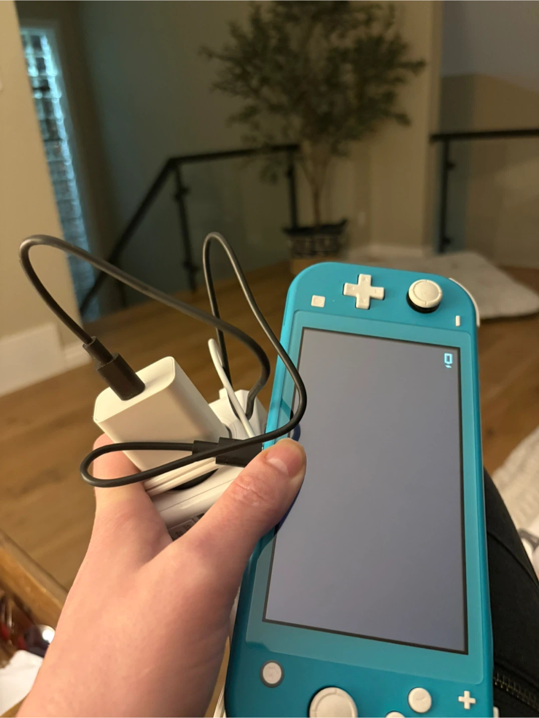 Nintendo Switch Lite Turquoise