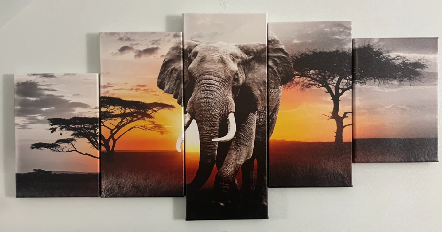 Moving Sale! 5 Pcs African Grassland Elephant Canvas Wall Art