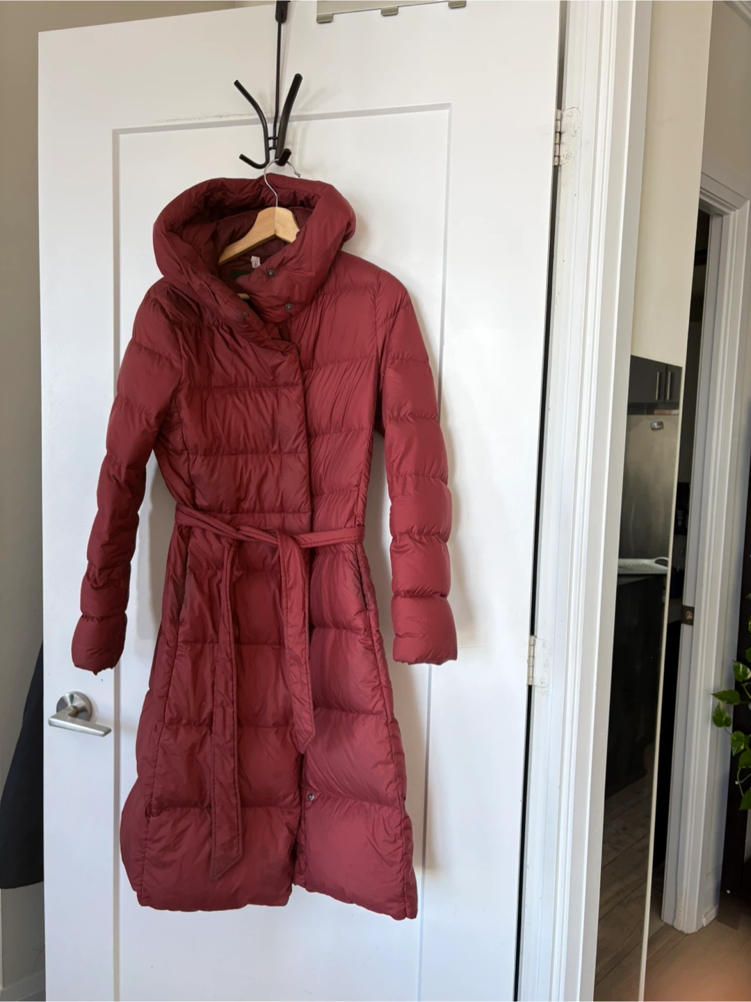 UNIQLO Down Coat
