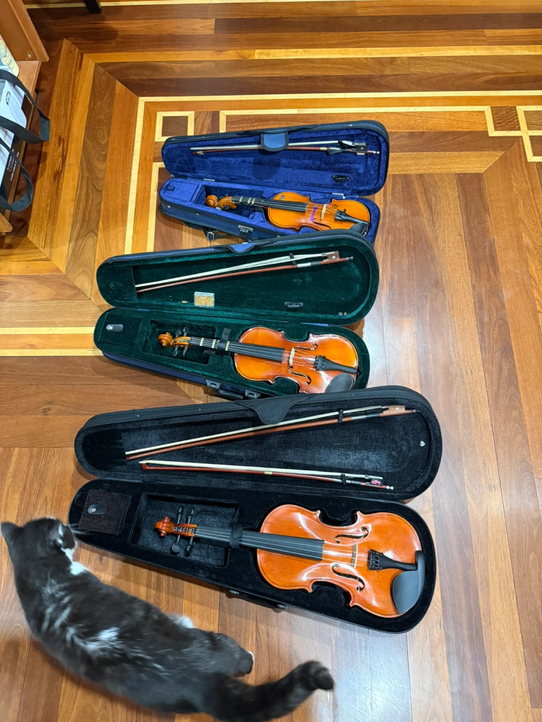 Set of 3 Violins with Cases and Bows - photo 2