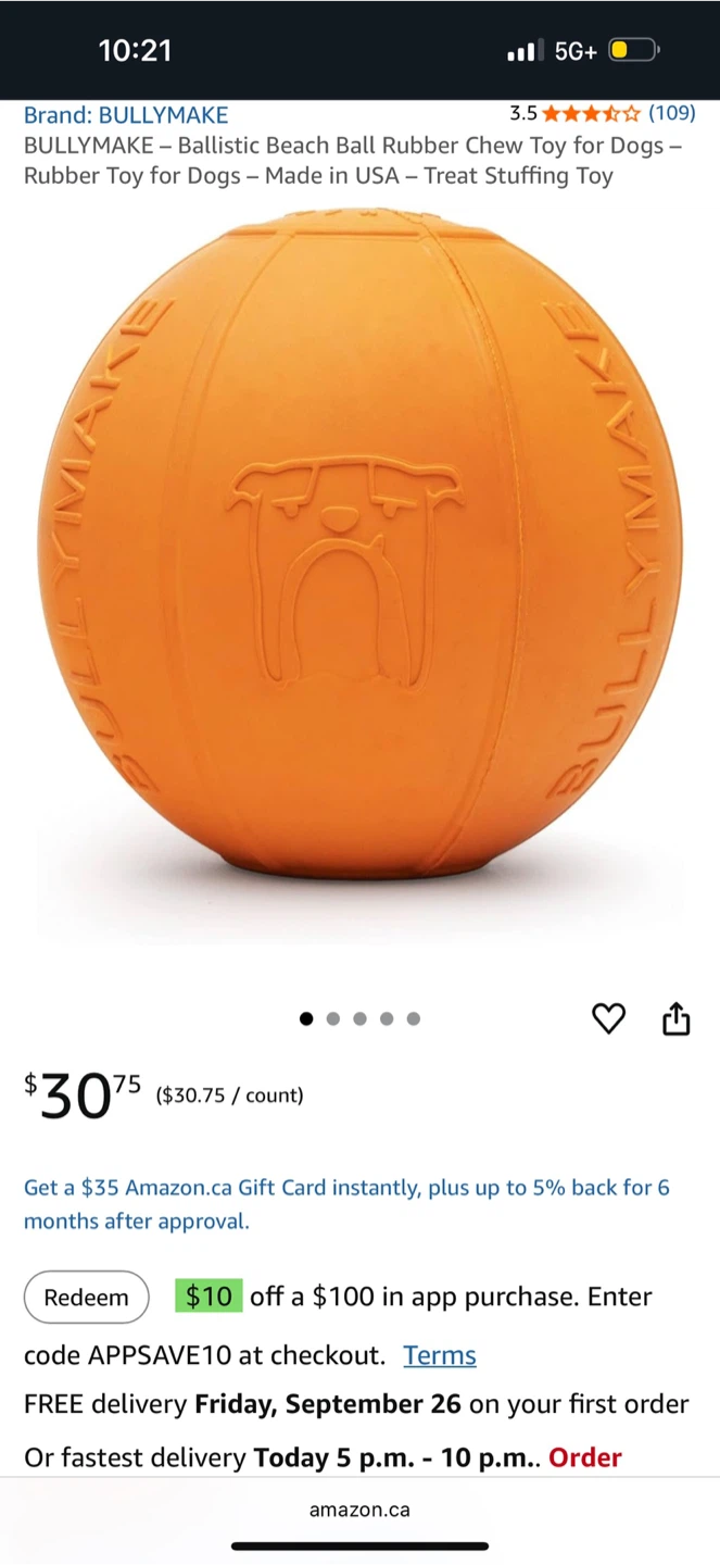 BULLYMAKE Rubber Keg Chew Toy for Dogs - photo 2