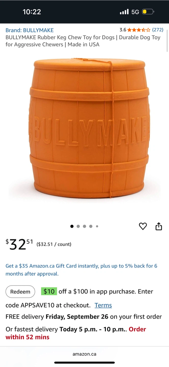 BULLYMAKE Rubber Keg Chew Toy for Dogs