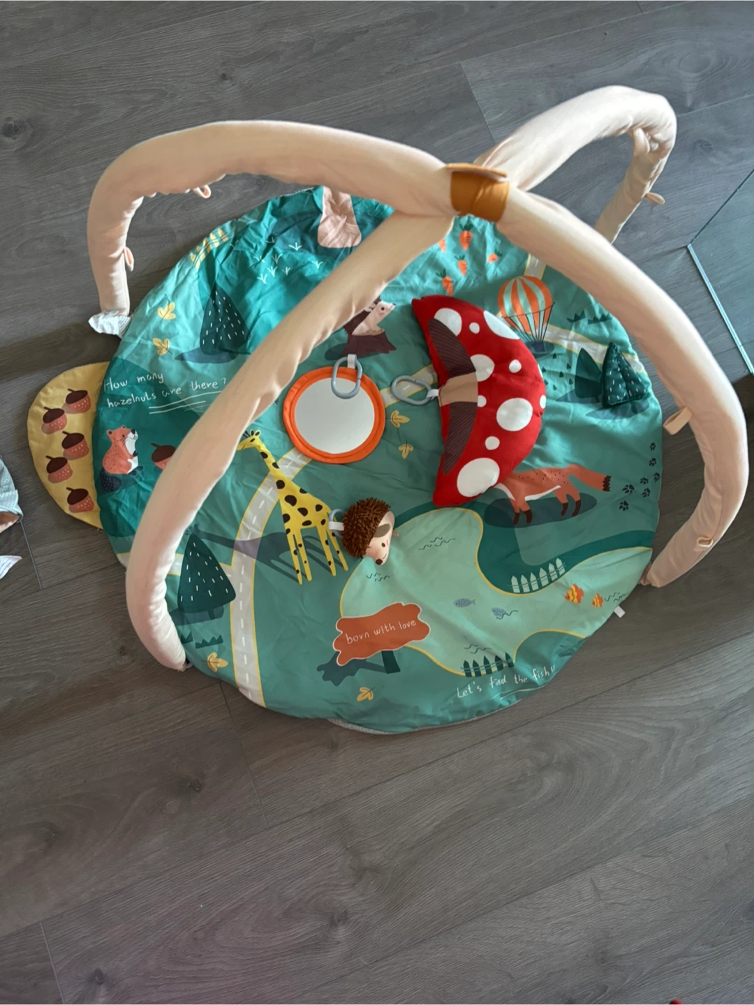 Activity Play Mat with 3 Toys