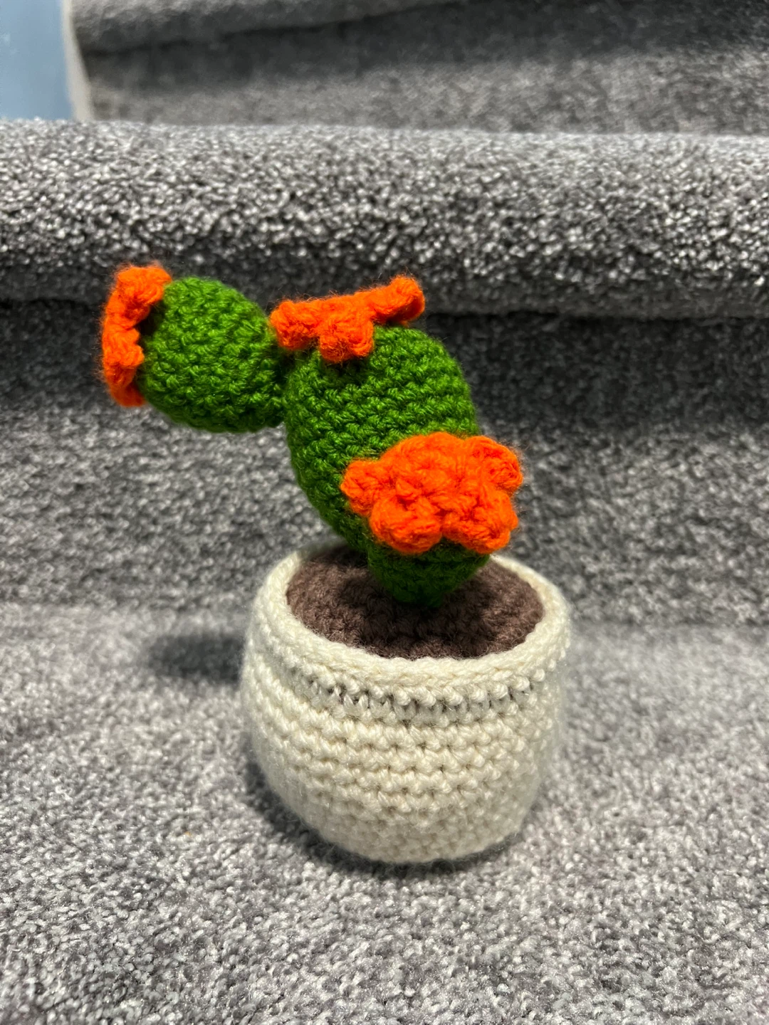 Crochet Prickly Pear Cactus