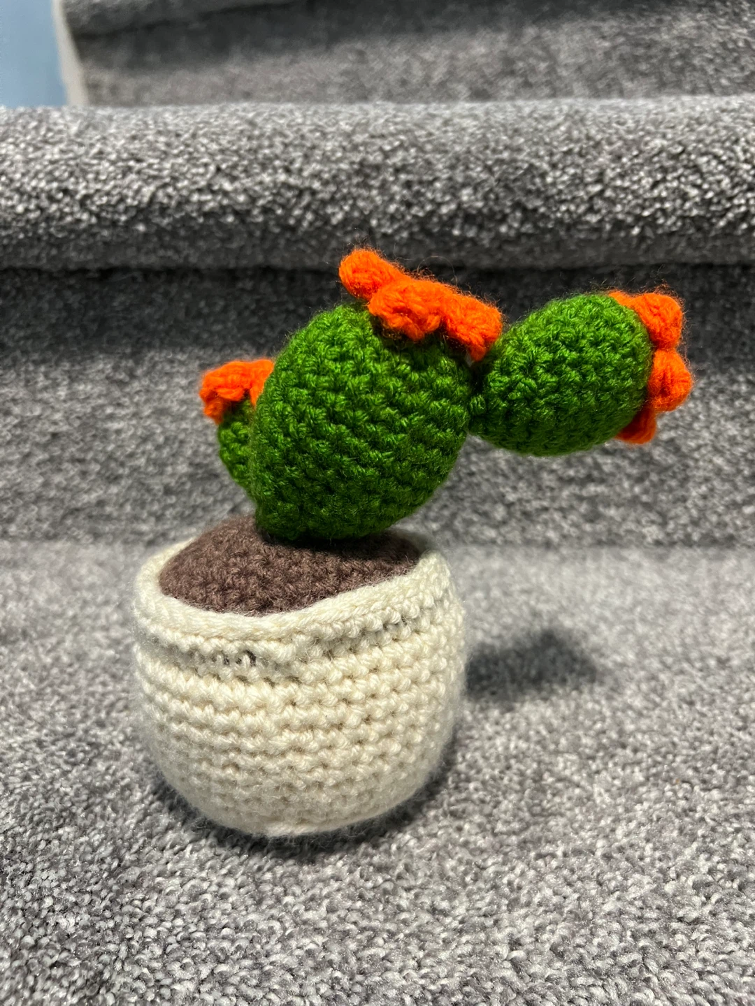 Crochet Prickly Pear Cactus - photo 2