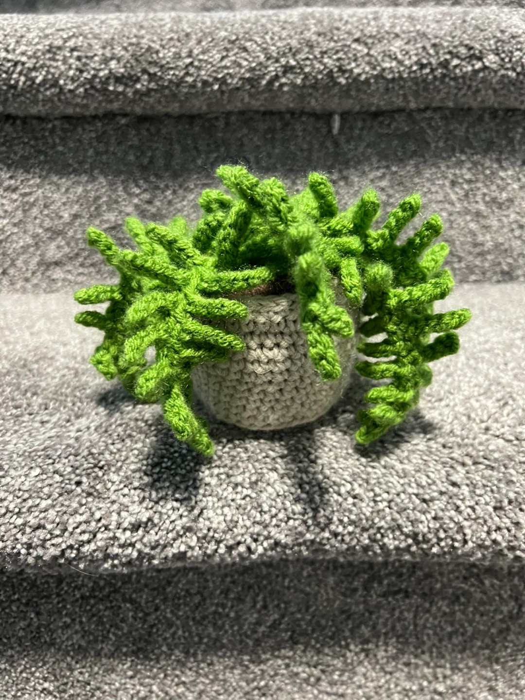 Crochet Fern - photo 2