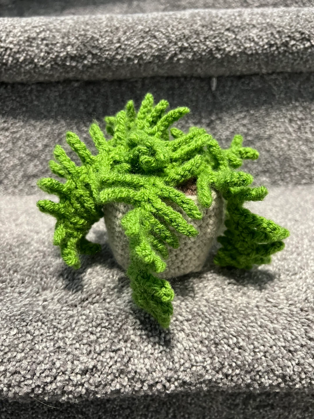 Crochet Fern