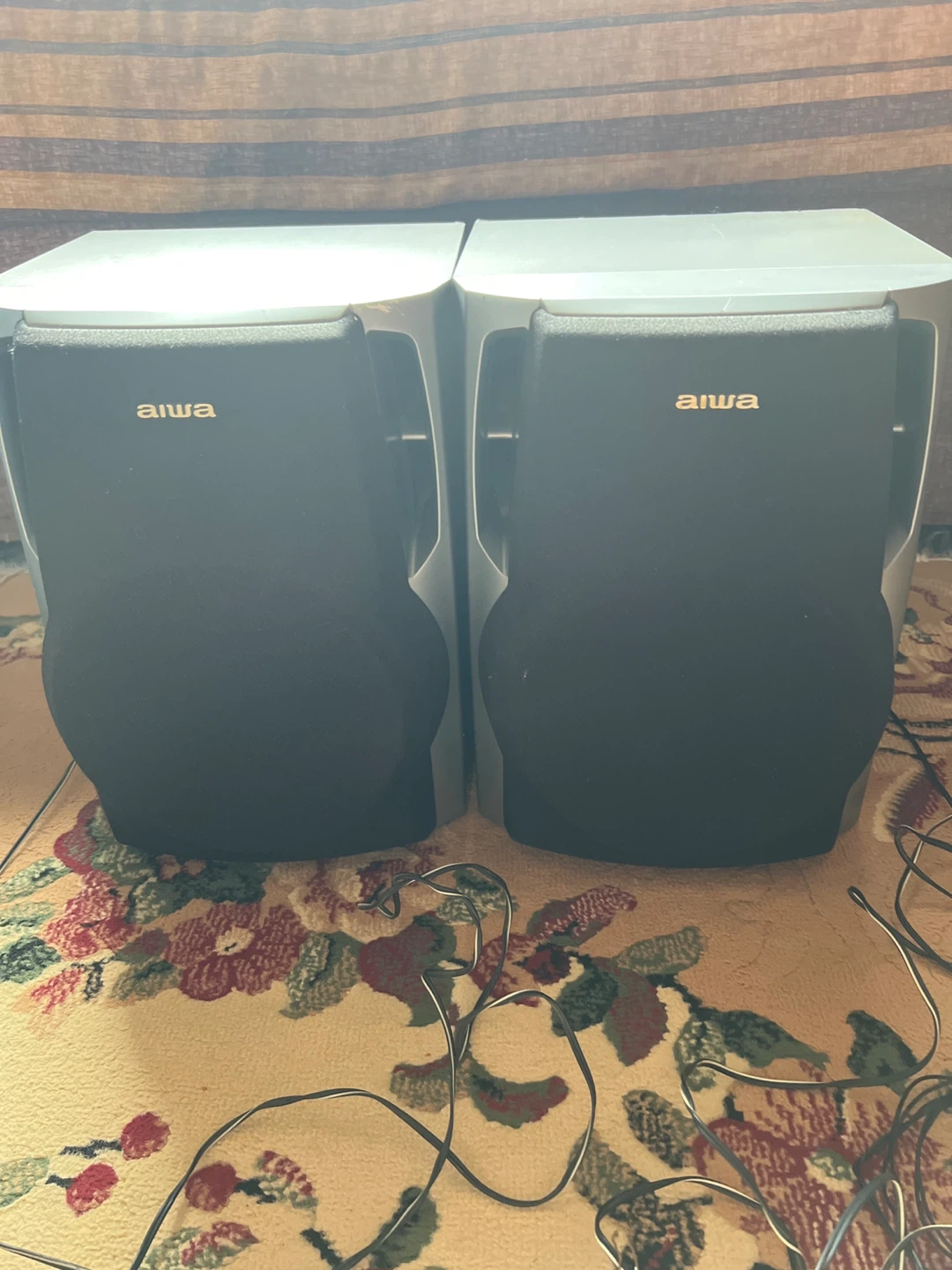 Aiwa Speakers (Pair)