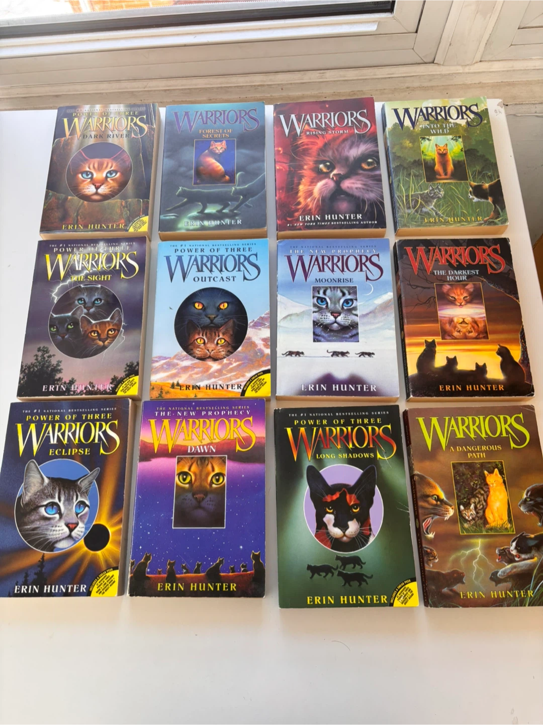 12 Warriors Book Series Lot - Erin Hunter
