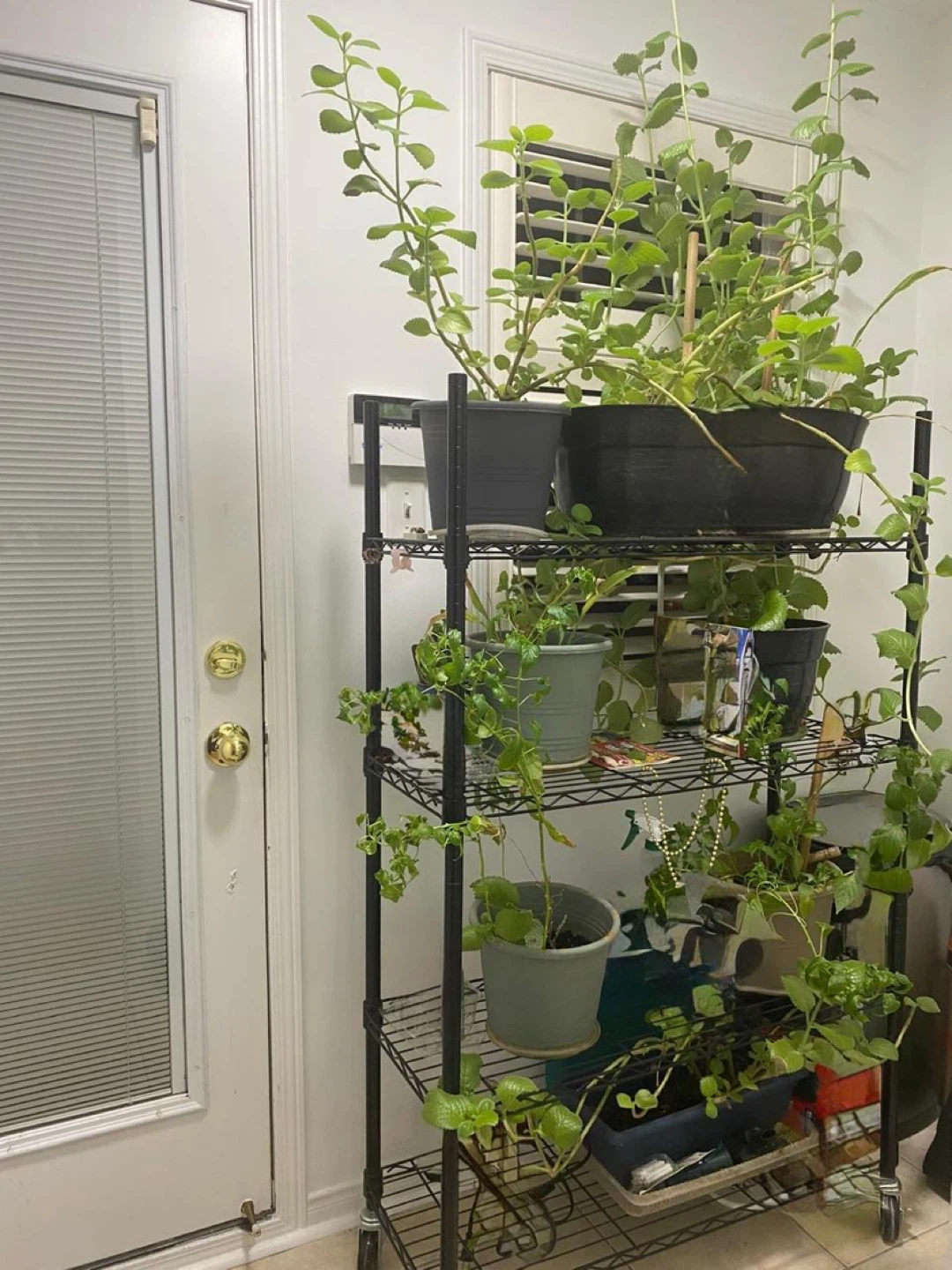 Metal stand which can be used for multi purpose
