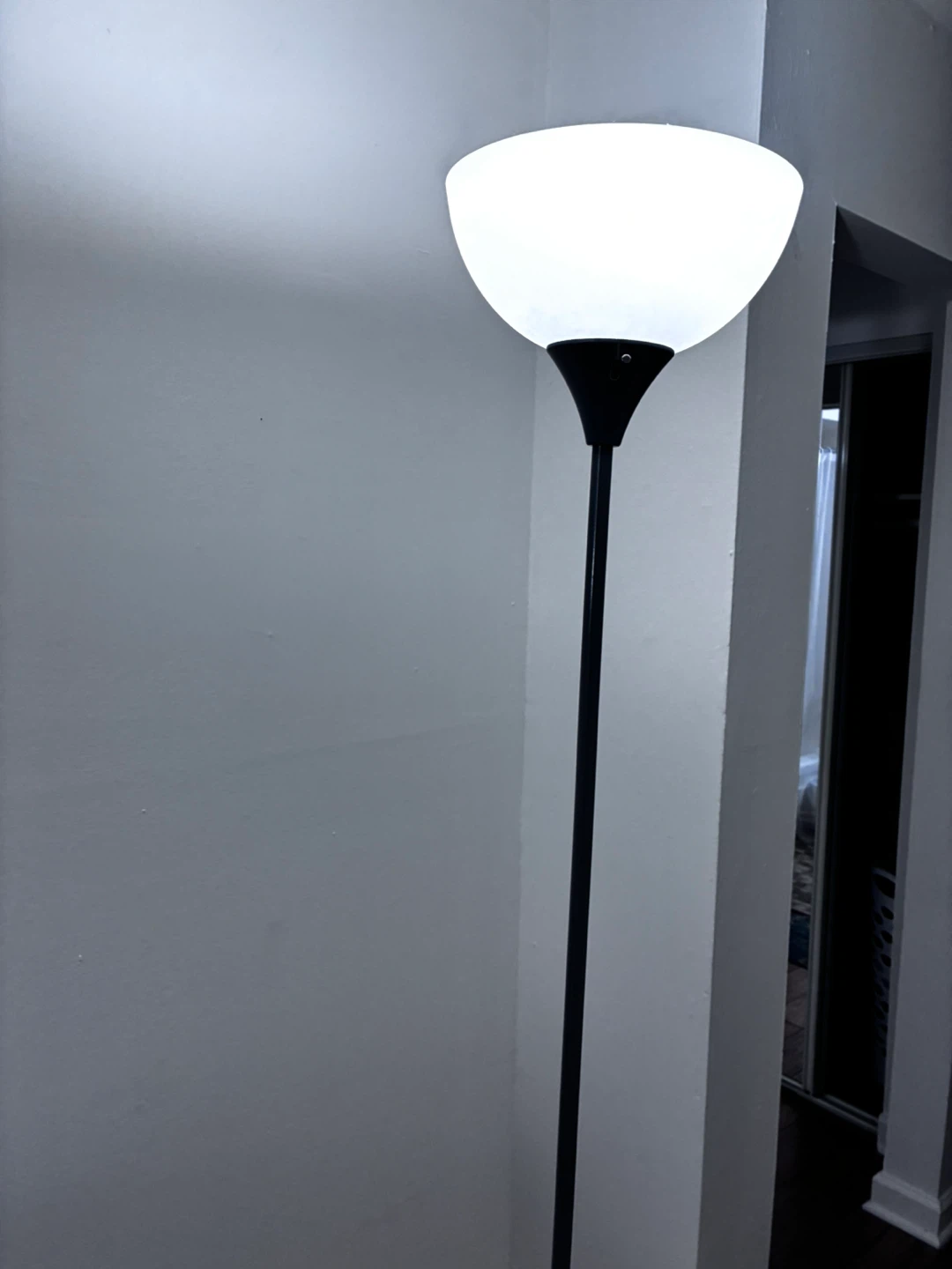 Floor Lamp with Frosted White Shade - photo 2