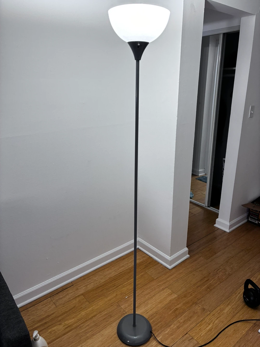 Floor Lamp with Frosted White Shade