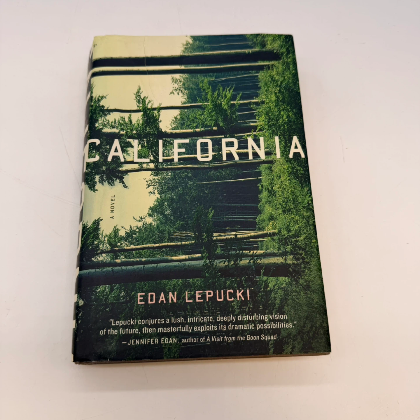 California: A Novel by Edan Lepucki