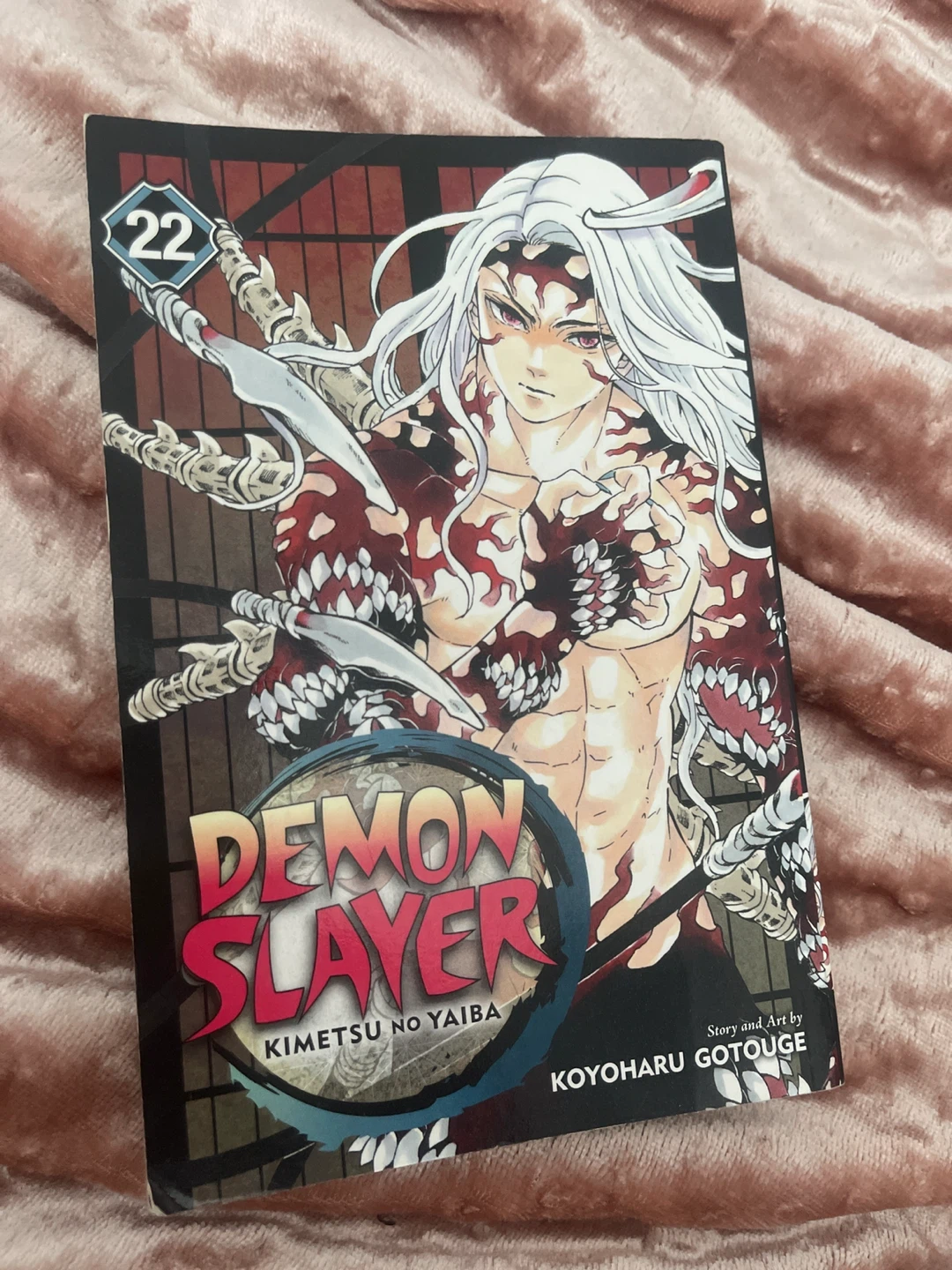 Demon Slayer: Kimetsu no Yaiba Vol. 22 Manga