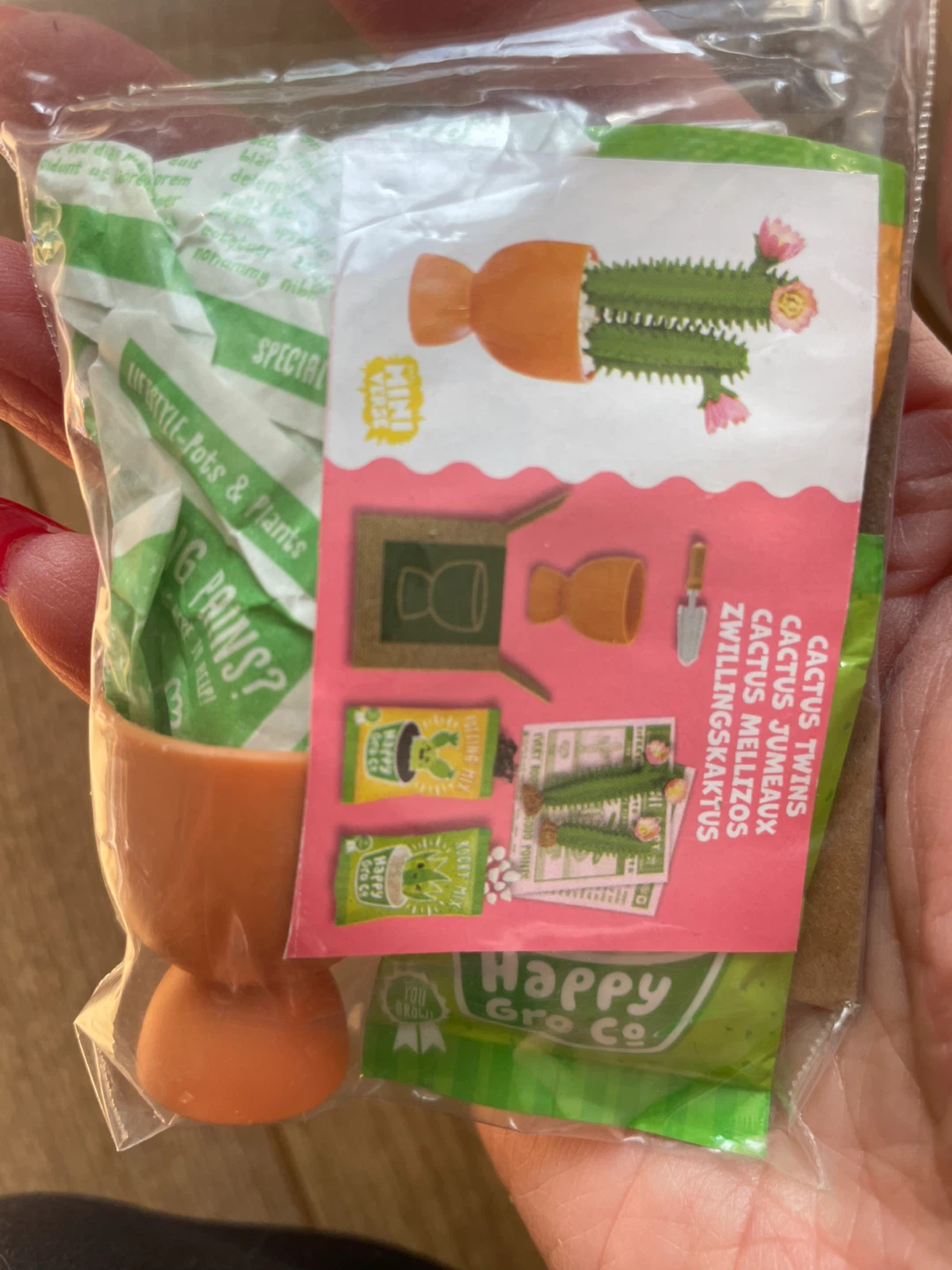 🧡 X2 New Miniverse Mini Cactus Twins and Paddle Cactus