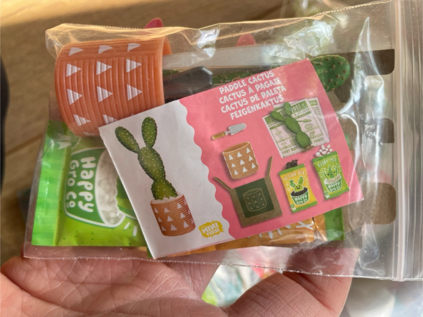 🧡 X2 New Miniverse Mini Cactus Twins and Paddle Cactus - photo 2