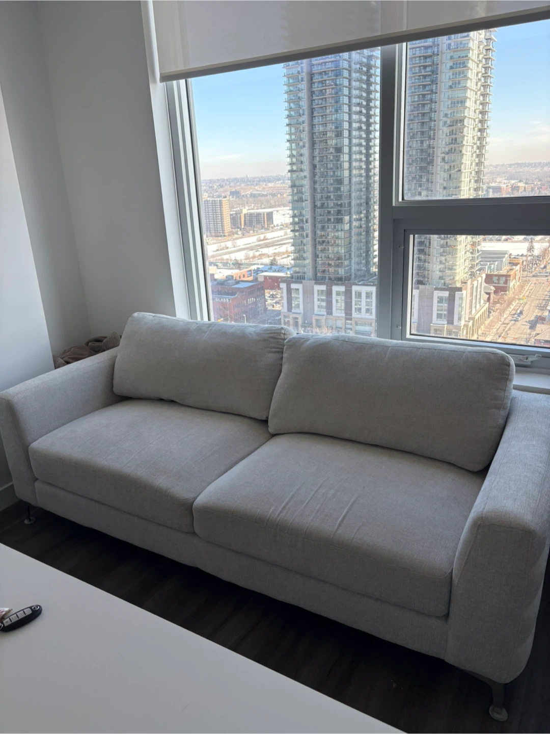Light Grey Fabric Sofa