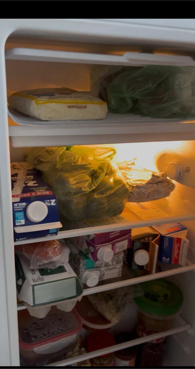 Master Chef Mini Fridge - photo 2