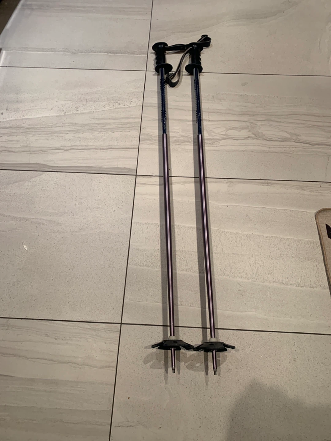 Pair of Ski Poles