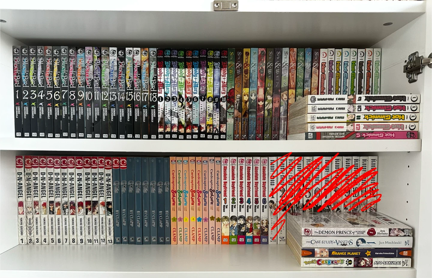 Large Manga Collection