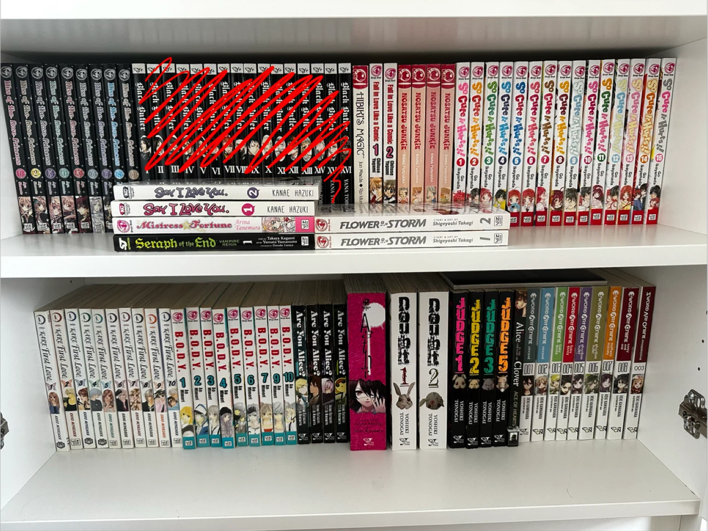 Large Manga Collection - photo 2