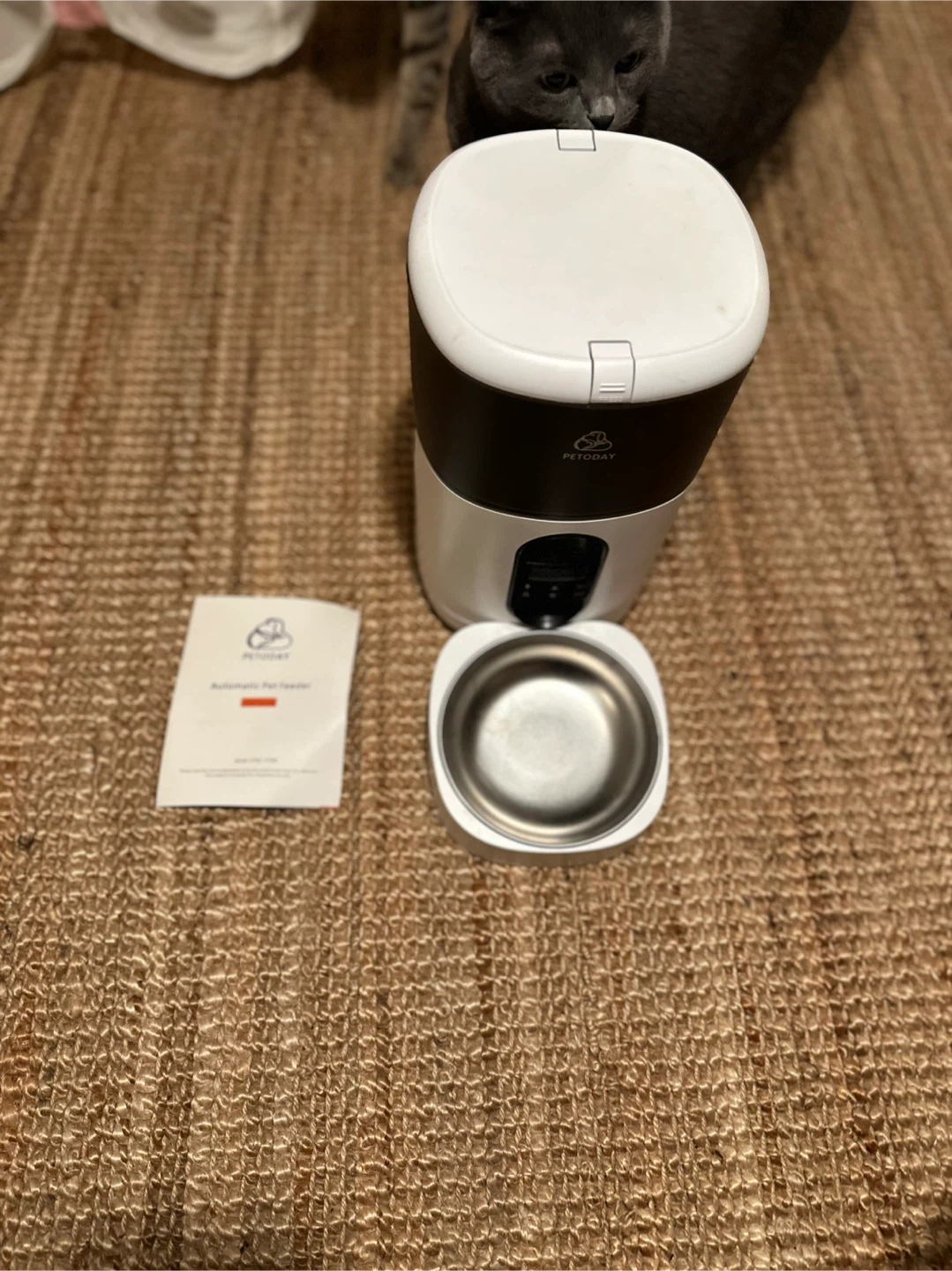 PETODAY Automatic Pet Feeder
