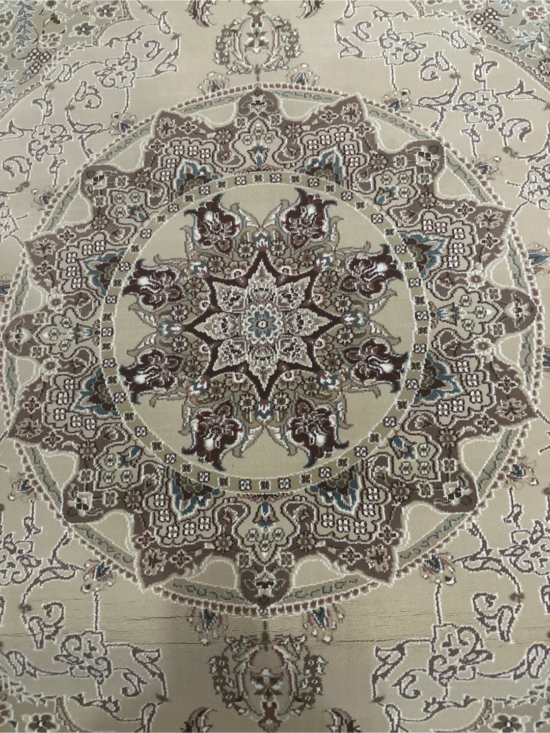 Traditional Oriental Area Carpet - photo 4