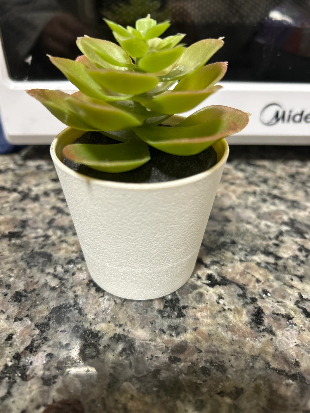 Small Faux Succulent Plant in White Pot 🧡