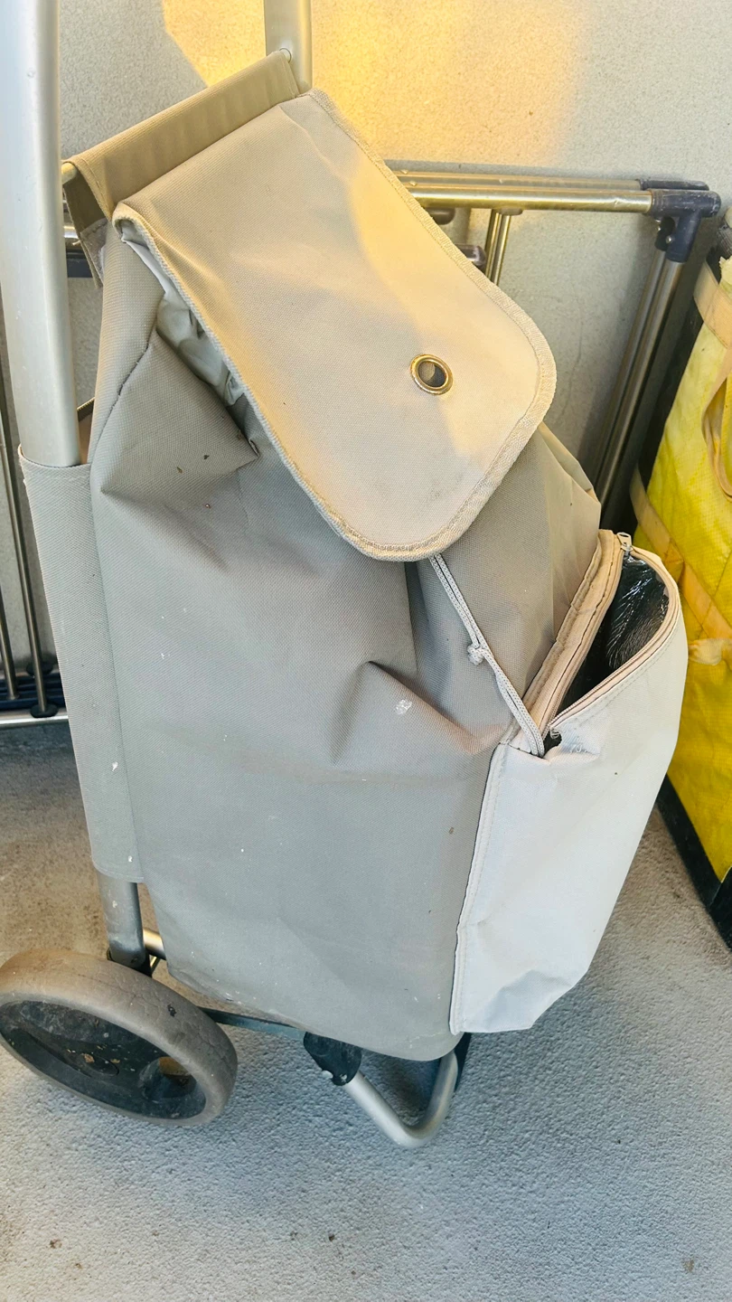 Insulated Shopping Cart - photo 2