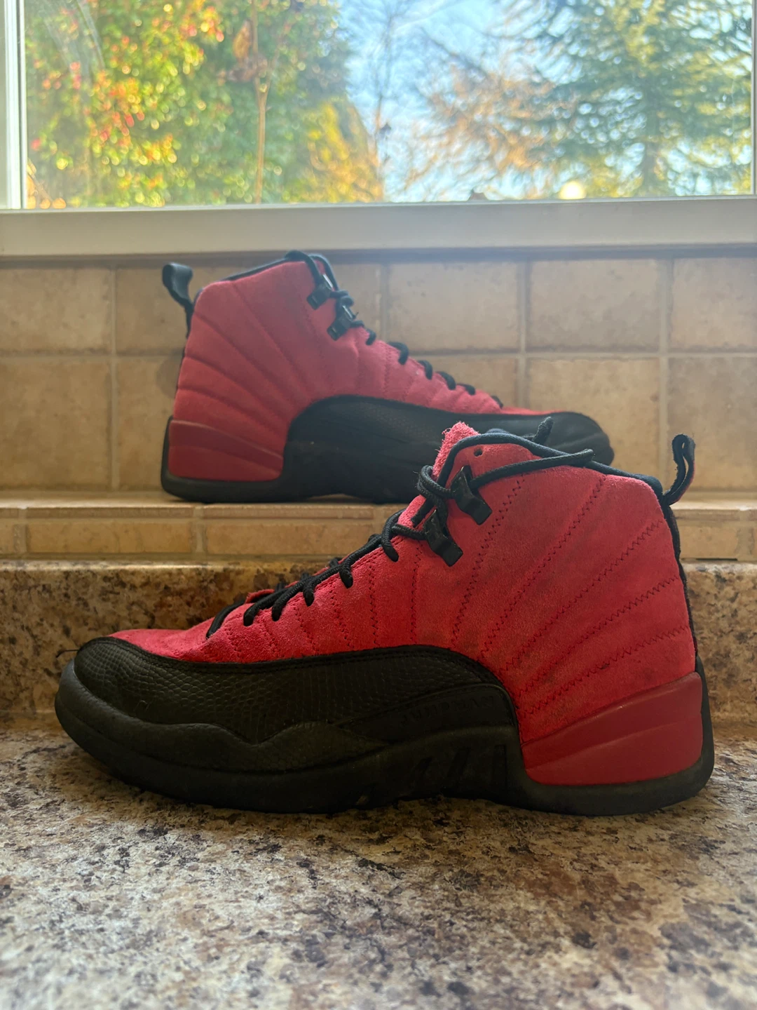 Air Jordan 12 "Reverse Flu Game"