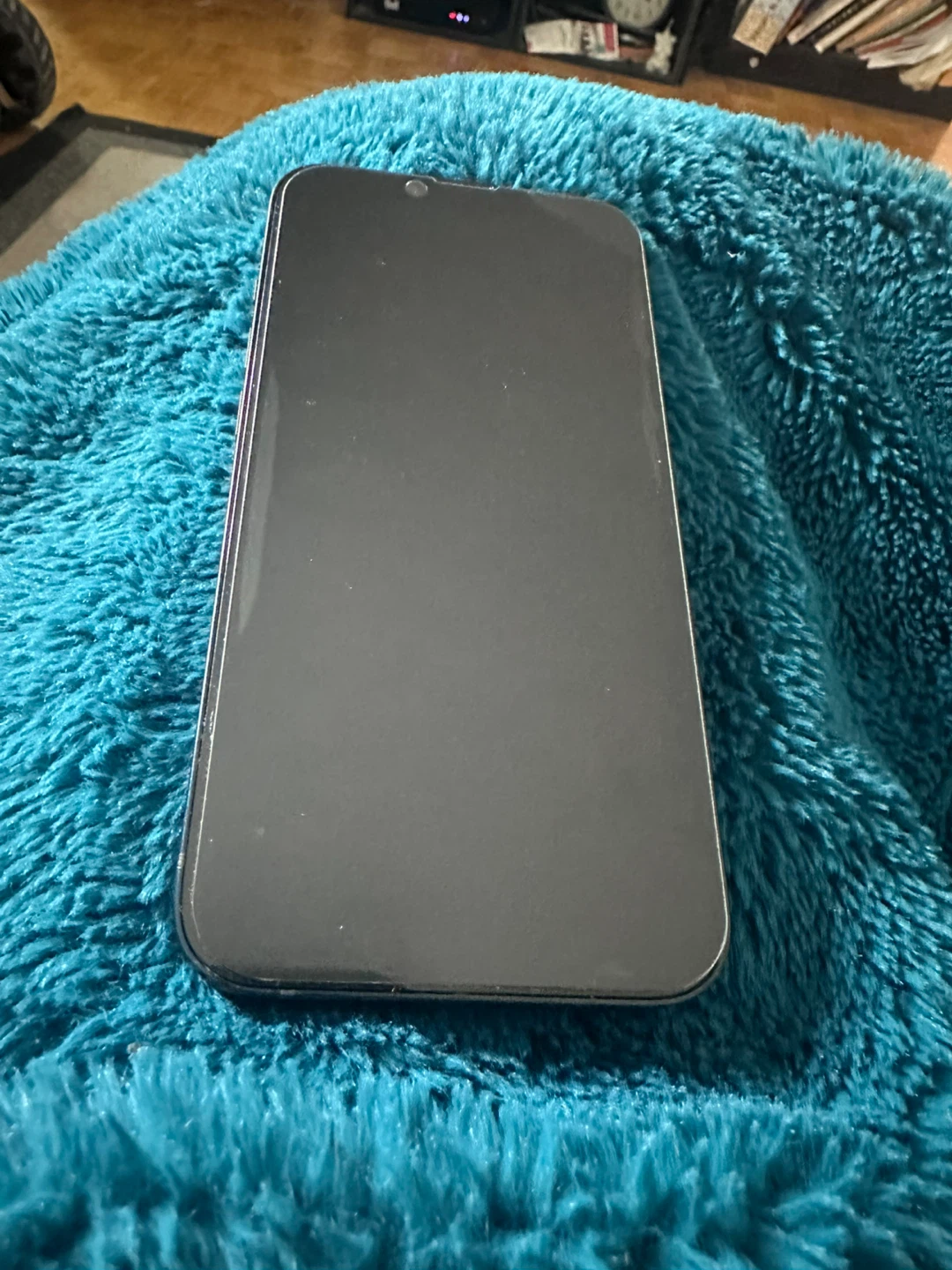 Apple iPhone 13 - photo 4