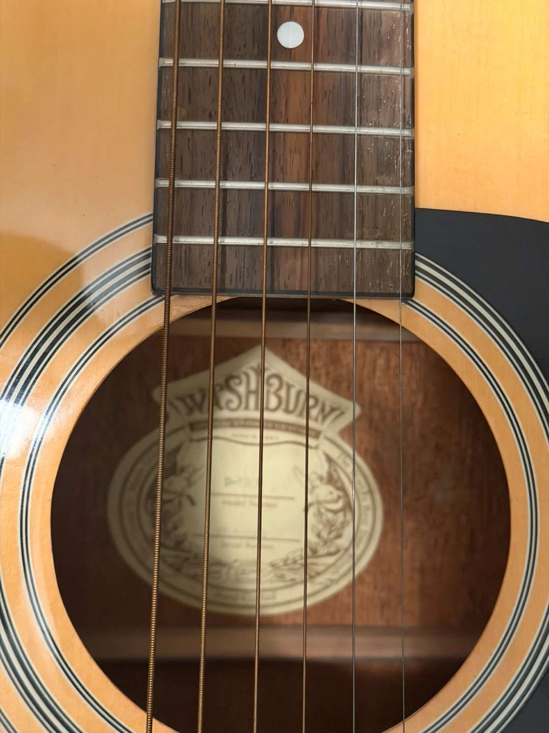 Washburn acoustic guitar - photo 4