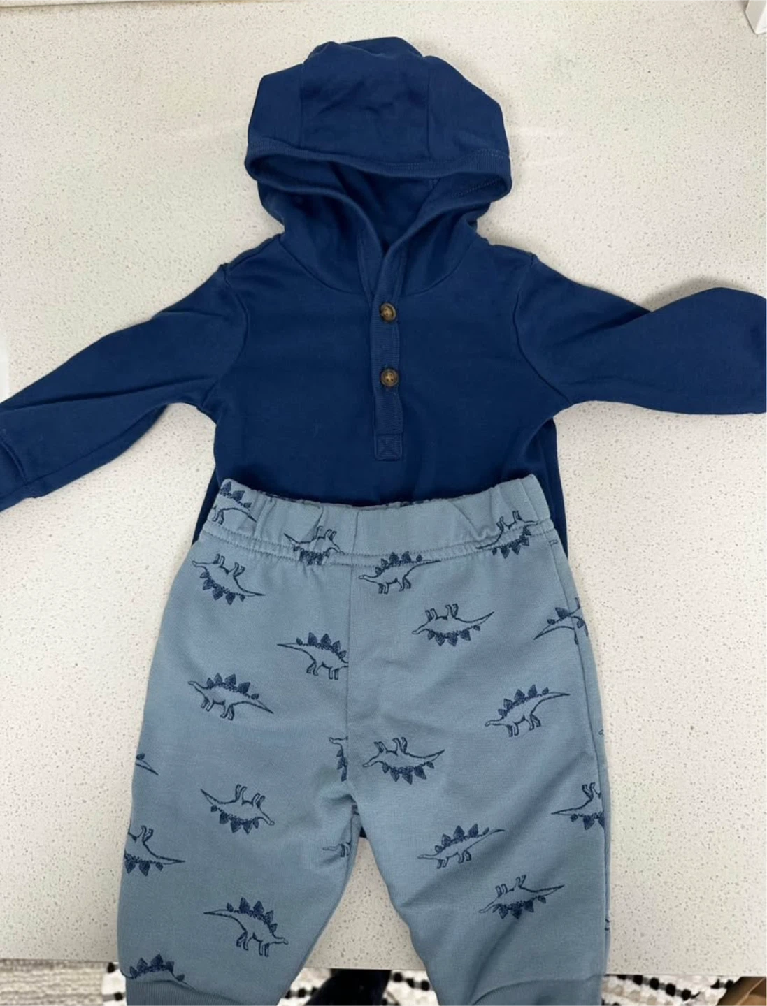 Boys Dinosaur Hoodie and Pants Set - photo 2