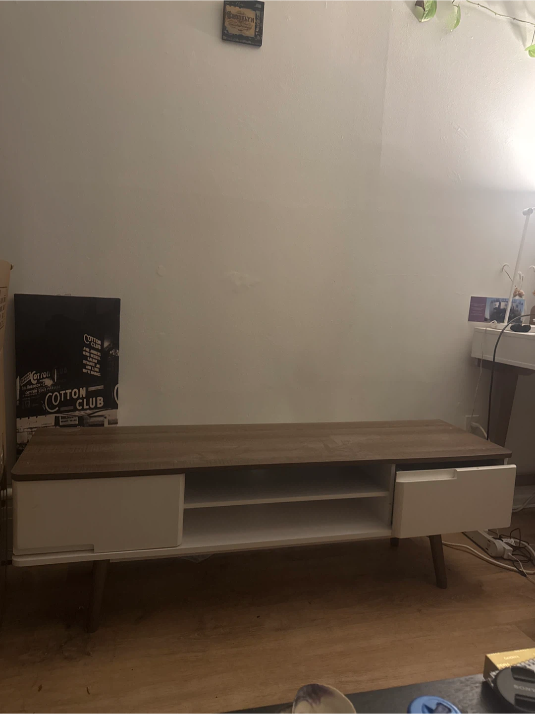Modern TV Stand with Storage