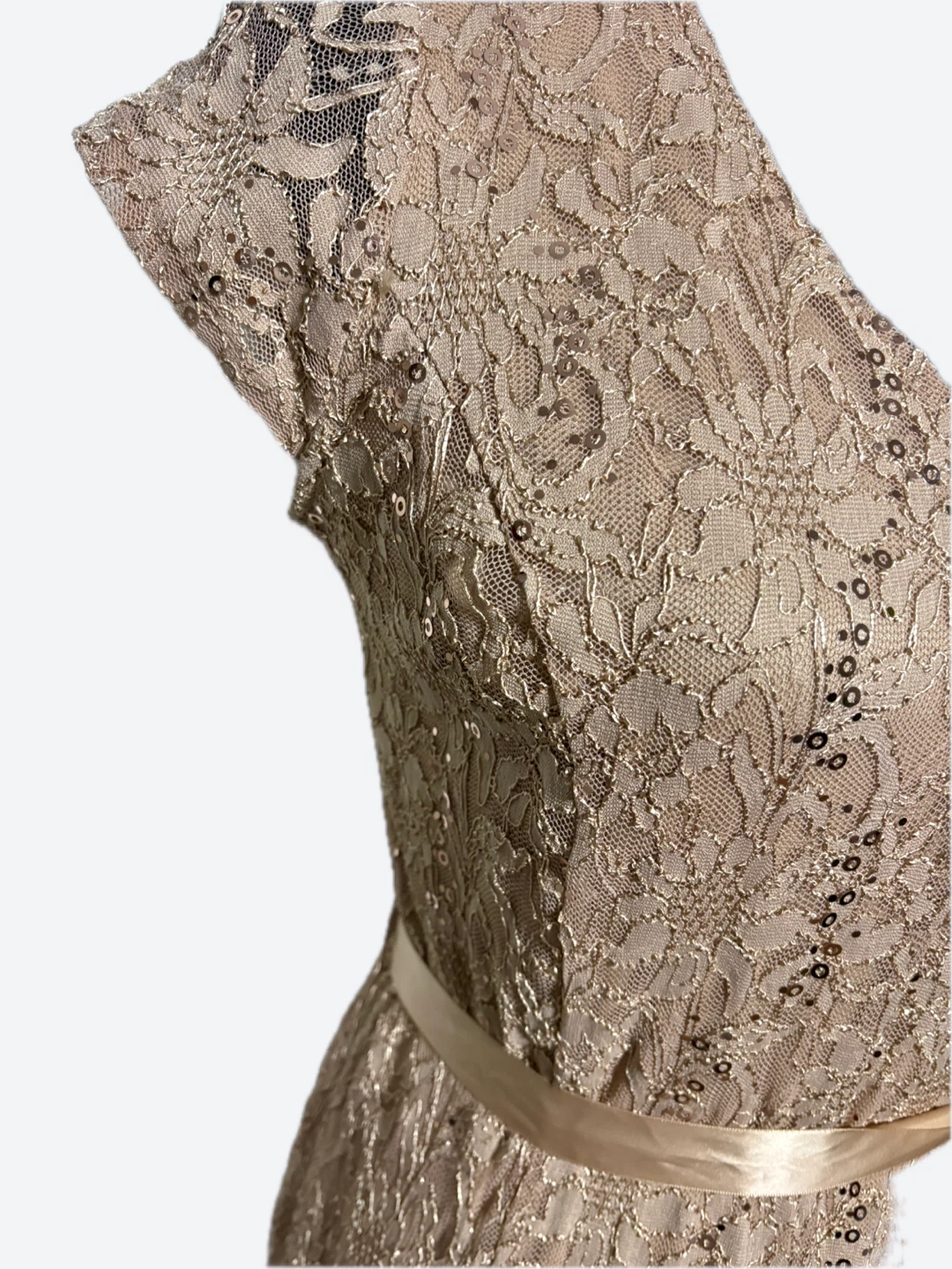 Cardolite Petite Lace Sequined Gown Dress PL - photo 2