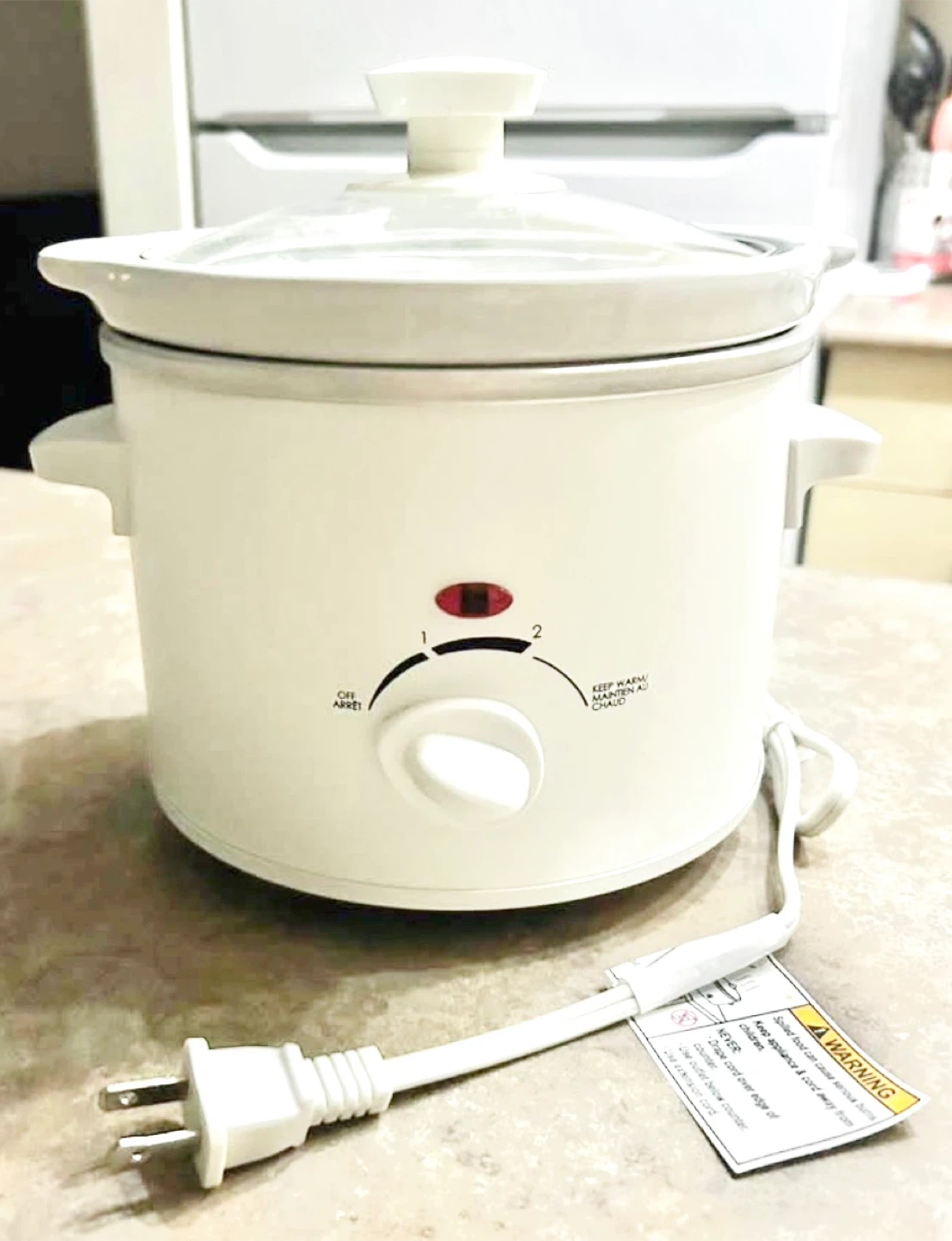 White Slow Cooker
