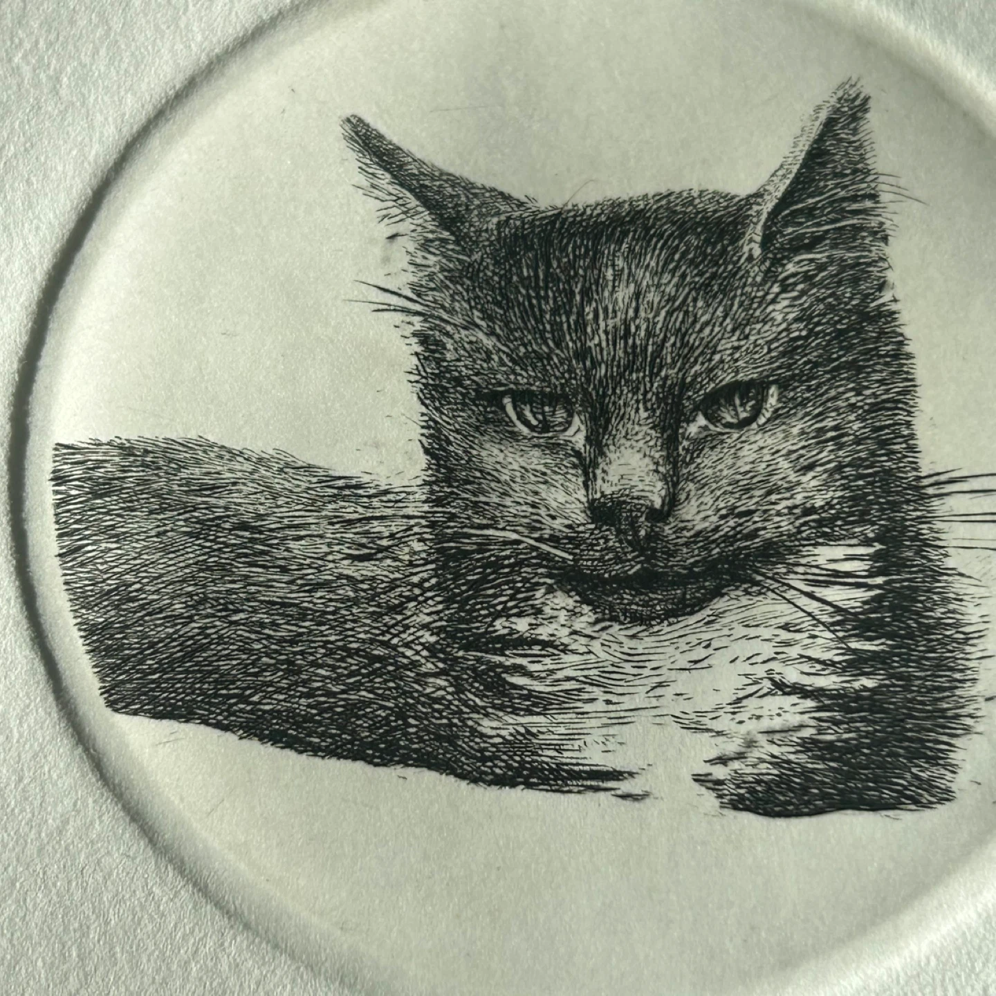 Original Signed Franc van Oort Etching “Cat” (1994) - photo 5