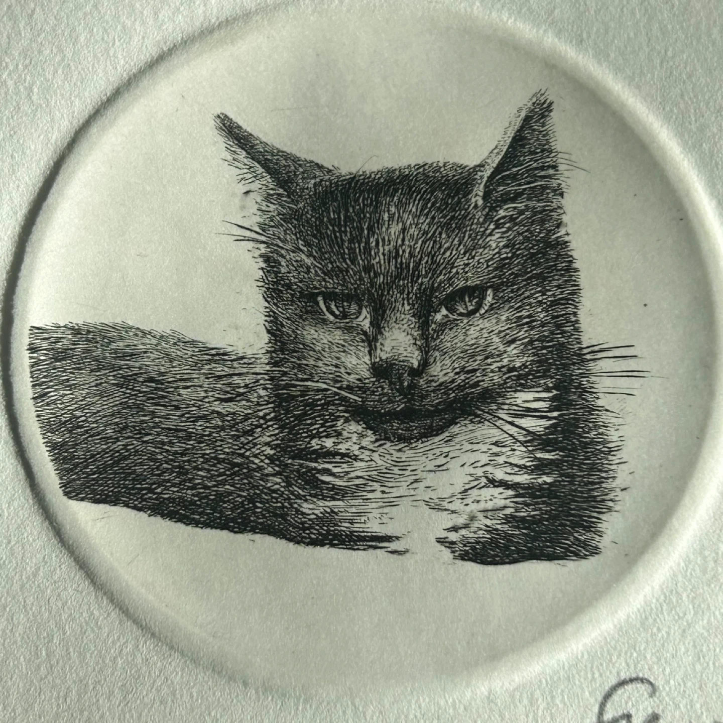 Original Signed Franc van Oort Etching “Cat” (1994)