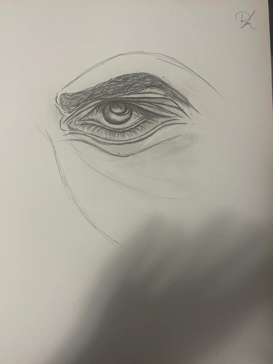 Pencil Sketch of an Eye