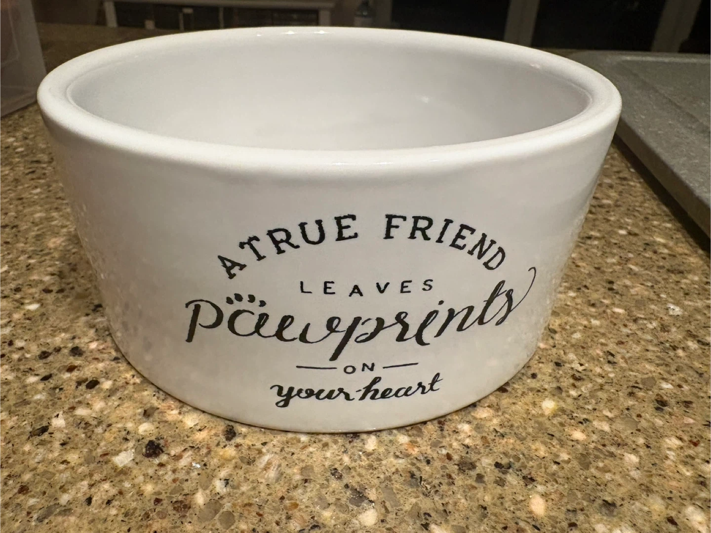 Ceramic Dog Bowl