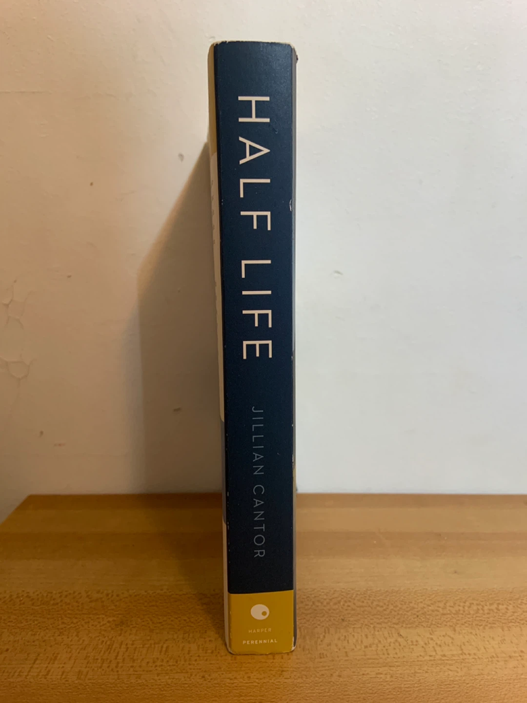 Half Life by Jillian Cantor – Historical Novel - photo 3
