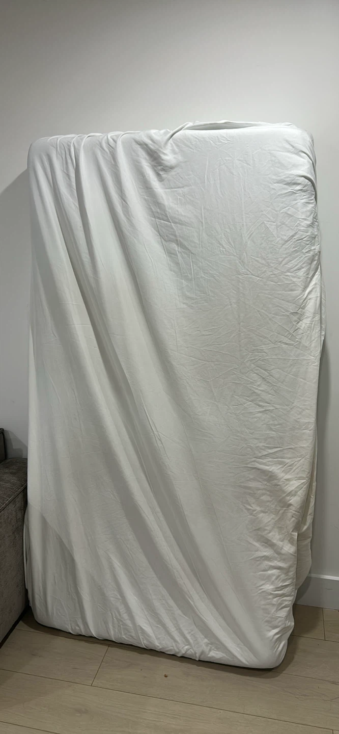 Twin mattress