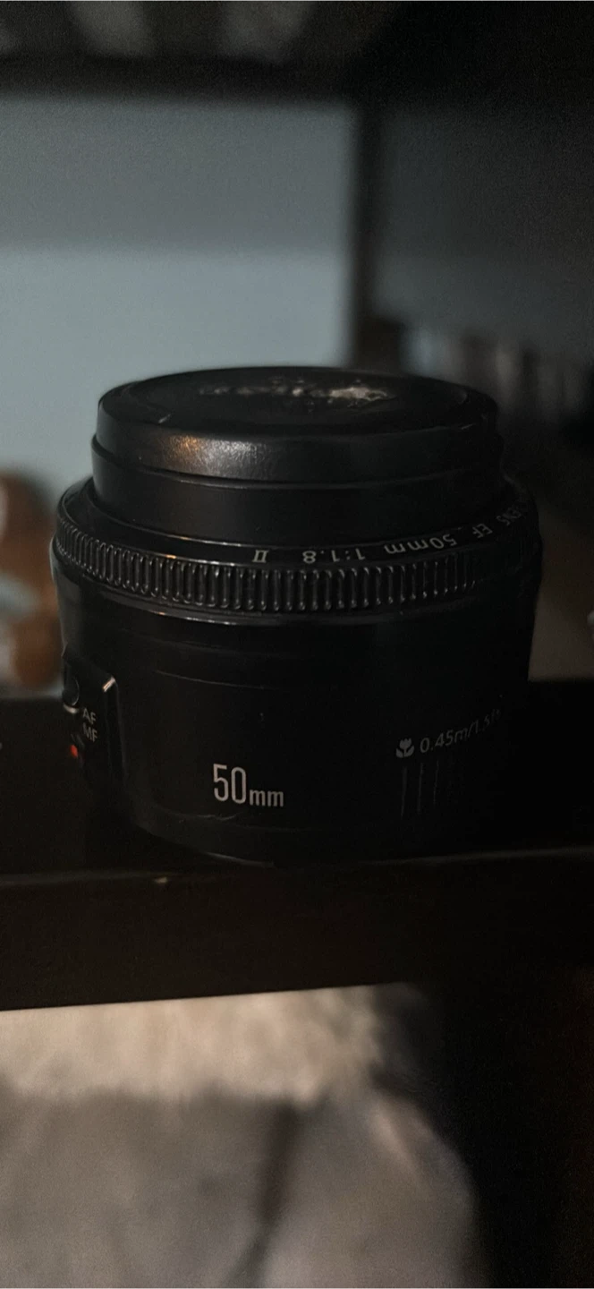 Canon EF-S 18-55mm f/3.5-5.6 IS STM Lens