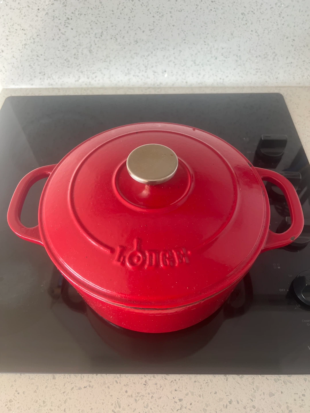 Lodge Enamelled Cast Iron Dutch Oven - photo 4